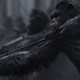 War for the Planet of the Apes es intensa e increíble. Imágenes: Fox